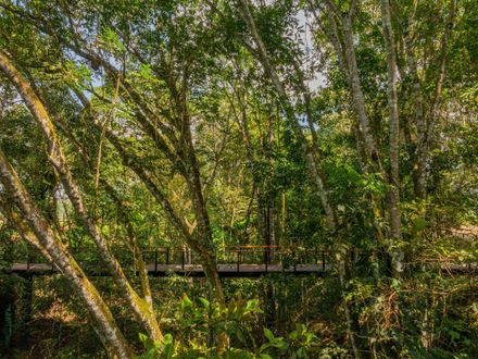 Village Trails