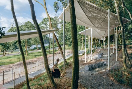 Floating Canopy Grove