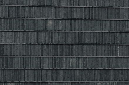 Viking Fortress Borgring Experience Center