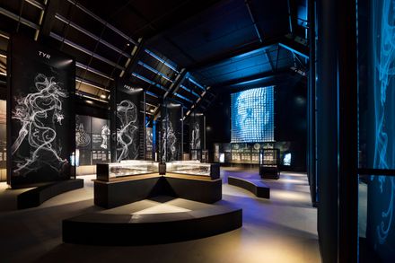 Viking Fortress Borgring Experience Center