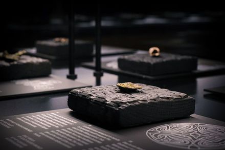 Viking Fortress Borgring Experience Center