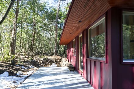 House in the Forest