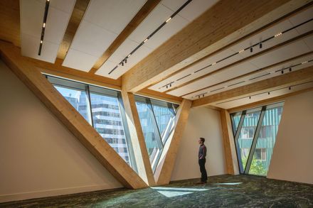 David Rubenstein Treehouse - Harvard University