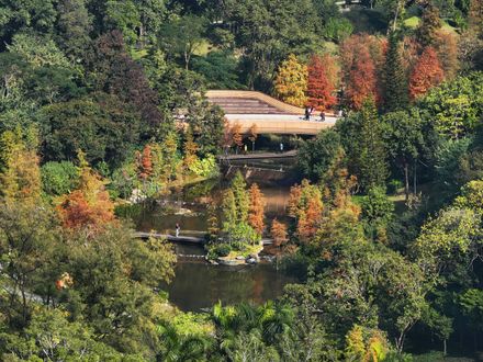 Guangzhou Yunxi Botanical Garden