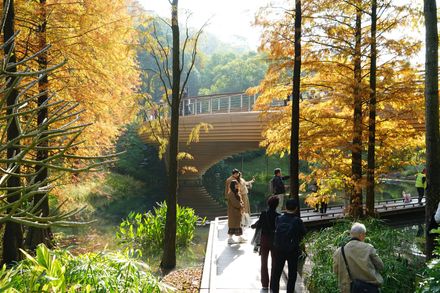 Guangzhou Yunxi Botanical Garden