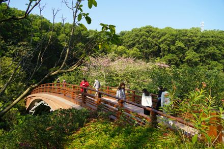 Guangzhou Yunxi Botanical Garden