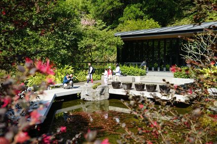 Guangzhou Yunxi Botanical Garden