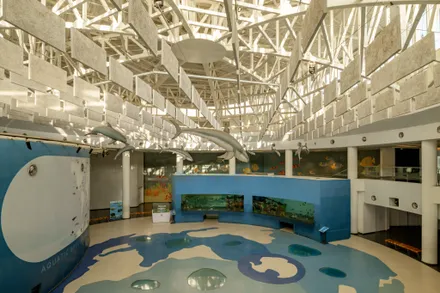 Aquatic Gallery at Science City Ahmedabad
