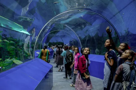 Aquatic Gallery at Science City Ahmedabad