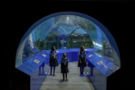 Aquatic Gallery at Science City Ahmedabad