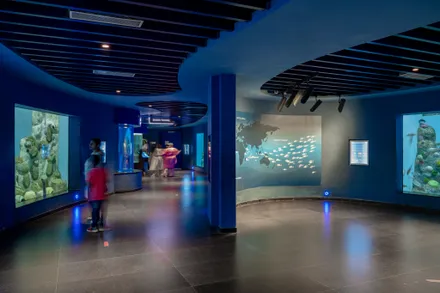 Aquatic Gallery at Science City Ahmedabad