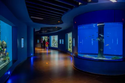 Aquatic Gallery at Science City Ahmedabad