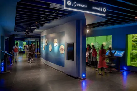 Aquatic Gallery at Science City Ahmedabad