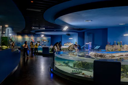 Aquatic Gallery at Science City Ahmedabad