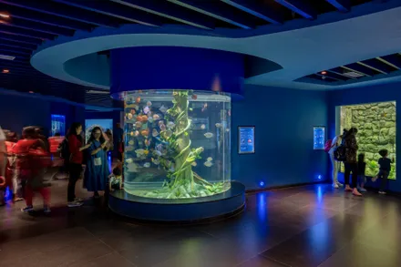 Aquatic Gallery at Science City Ahmedabad