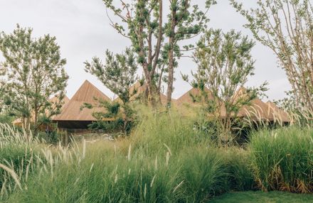 LuxeIsland Restaurant