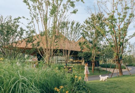 LuxeIsland Restaurant