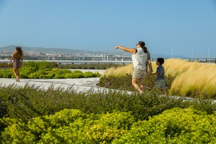 Oriente Green Campus