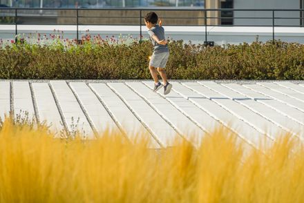 Oriente Green Campus