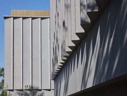 Princeton University Art Museum