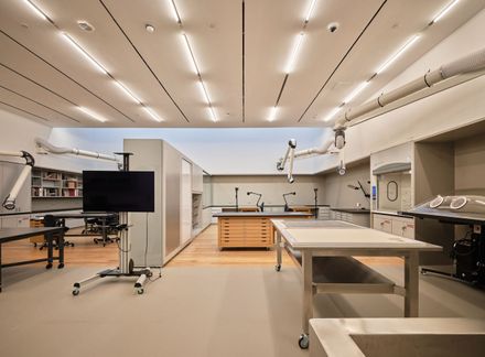 Princeton University Art Museum