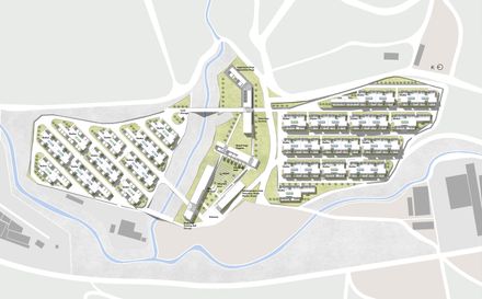 Pako Street Animal Social Life Campus