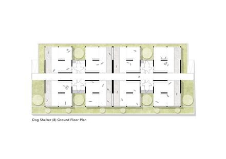 Pako Street Animal Social Life Campus