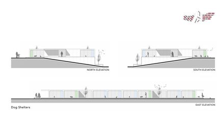 Pako Street Animal Social Life Campus