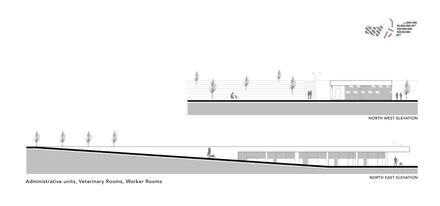 Pako Street Animal Social Life Campus