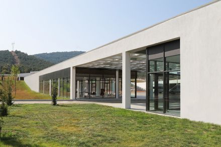 Pako Street Animal Social Life Campus