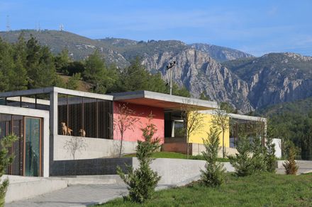 Pako Street Animal Social Life Campus