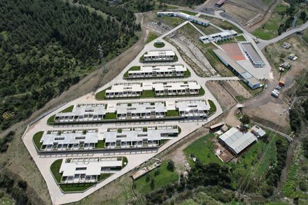 Pako Street Animal Social Life Campus