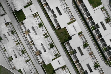 Pako Street Animal Social Life Campus