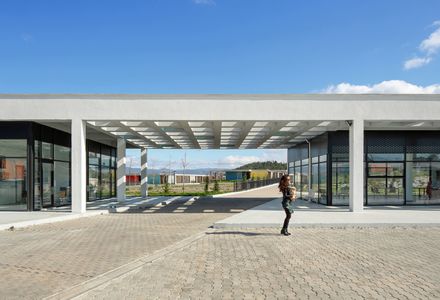 Pako Street Animal Social Life Campus