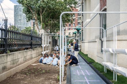 Flying Chess Kindergarten
