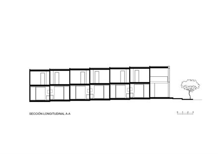 Complejo Habitacional Y Comercial Camellia