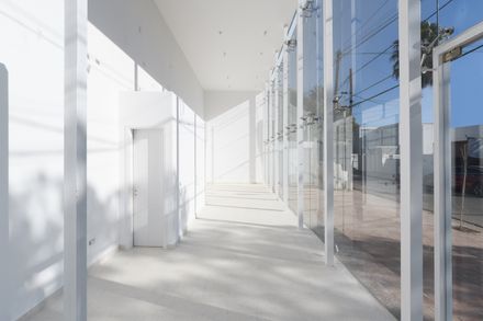 Complejo Habitacional Y Comercial Camellia