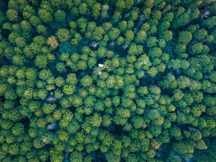 Merryda Wiki World-Secret Camp