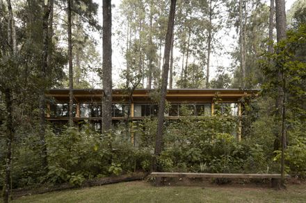 House In The Forest
