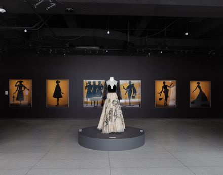 Ubs Hoc X Dior Exhibition