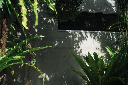 Inherit - House That Carries Forward Memory