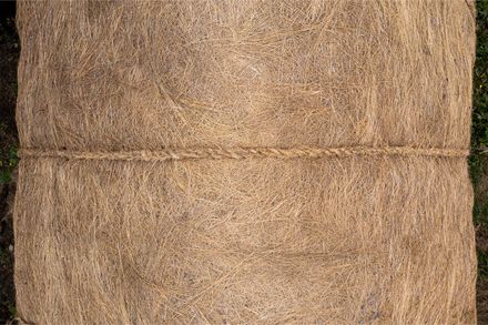 La Bocatoma Housing Modules