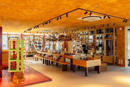 Museum Of The Amazon