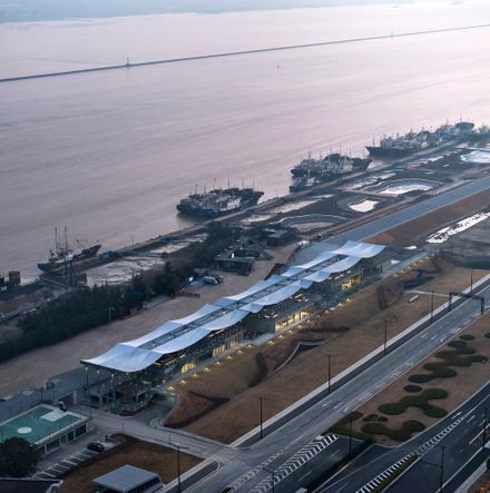 A Reborn Scenic Field Above Waves