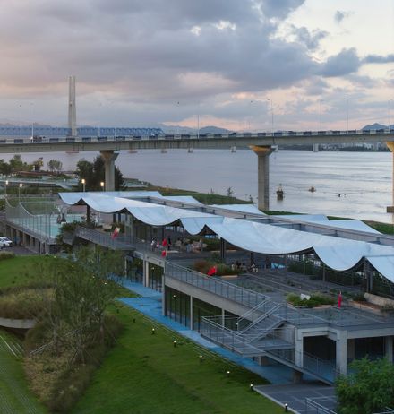 A Reborn Scenic Field Above Waves