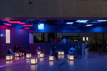 The Grand Egyptian Museum