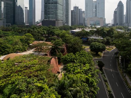 Lattice Creative Garden