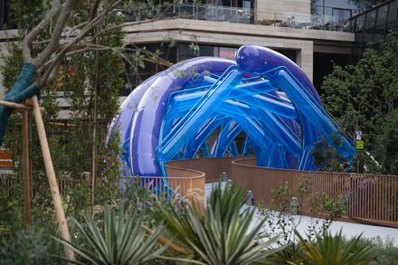 The Blue Rotary Membrane Bridge