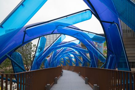 The Blue Rotary Membrane Bridge