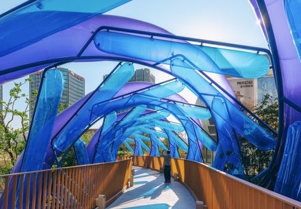 The Blue Rotary Membrane Bridge